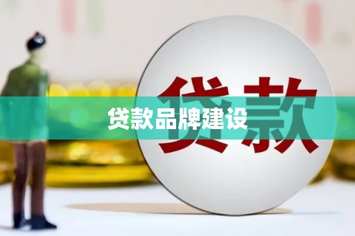 南丰贷款品牌建设