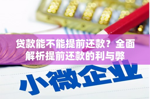 南丰贷款能不能提前还款？全面解析提前还款的利与弊