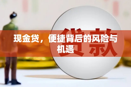 南丰现金贷，便捷背后的风险与机遇