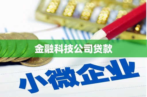 南丰金融科技公司贷款