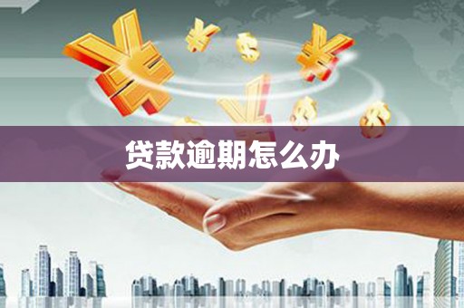 南丰贷款逾期怎么办