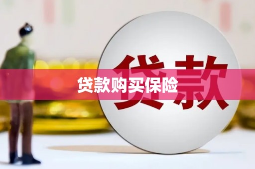南丰贷款购买保险