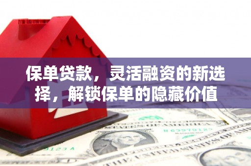 南丰保单贷款，灵活融资的新选择，解锁保单的隐藏价值