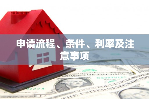 南丰申请流程、条件、利率及注意事项