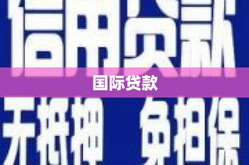 南丰国际贷款