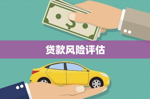 南丰贷款风险评估