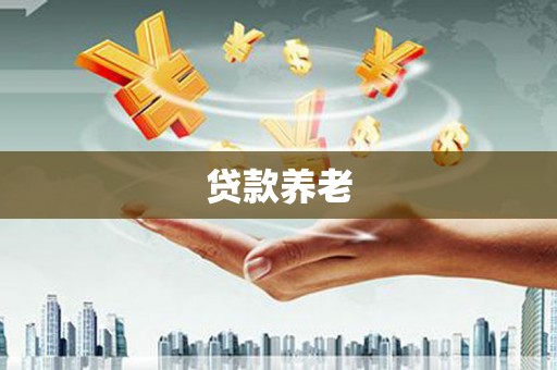 南丰贷款养老