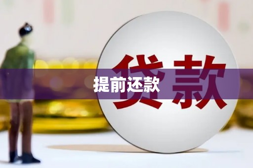 南丰提前还款