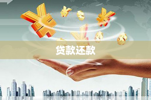 南丰贷款还款