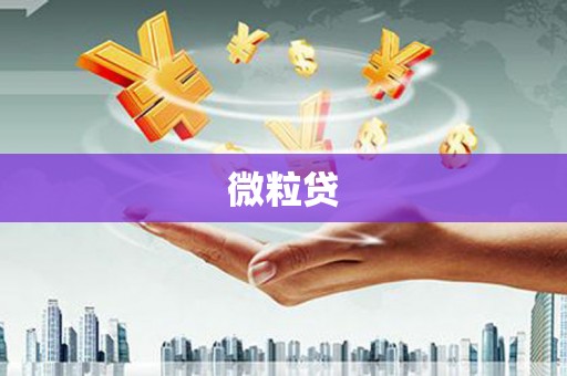 南丰微粒贷