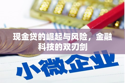 南丰现金贷的崛起与风险，金融科技的双刃剑