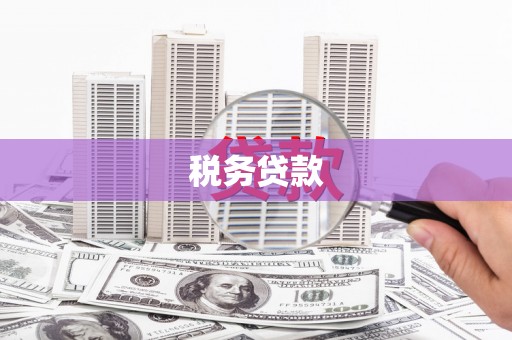 南丰税务贷款