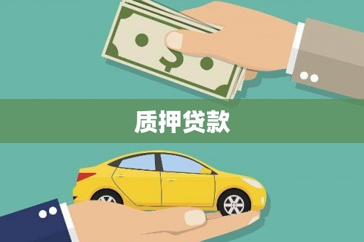 南丰质押贷款