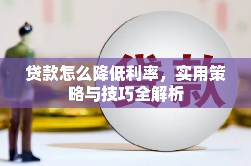 南丰贷款怎么降低利率，实用策略与技巧全解析