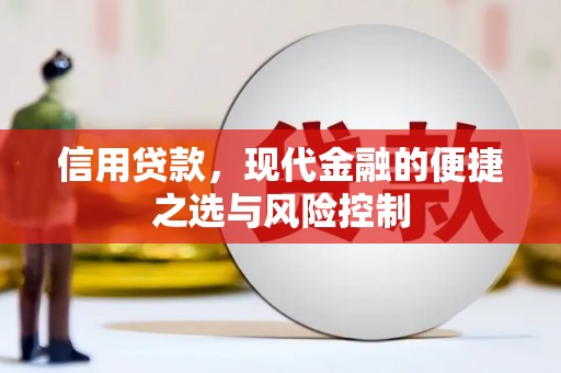 南丰信用贷款，现代金融的便捷之选与风险控制