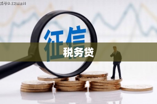 南丰税务贷