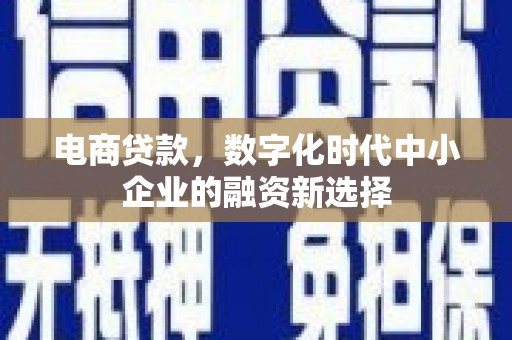 南丰电商贷款，数字化时代中小企业的融资新选择