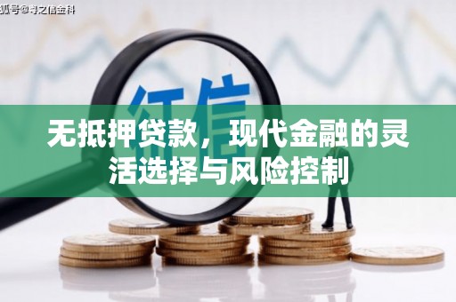 南丰无抵押贷款，现代金融的灵活选择与风险控制