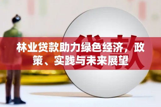 南丰林业贷款助力绿色经济，政策、实践与未来展望