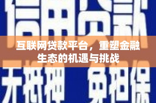 南丰互联网贷款平台，重塑金融生态的机遇与挑战