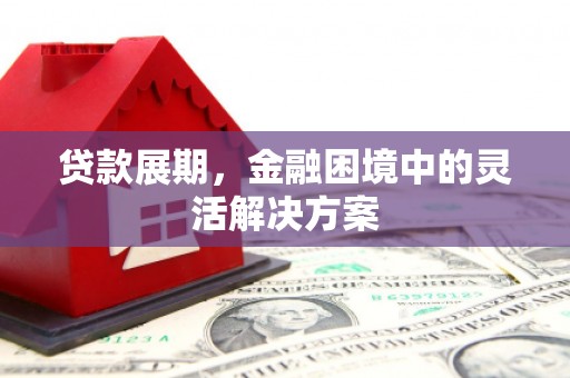 南丰贷款展期，金融困境中的灵活解决方案
