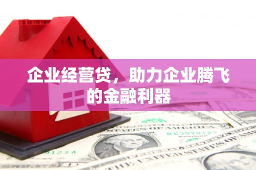 南丰企业经营贷，助力企业腾飞的金融利器