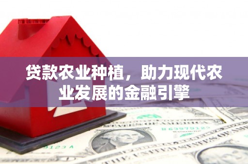 南丰贷款农业种植，助力现代农业发展的金融引擎