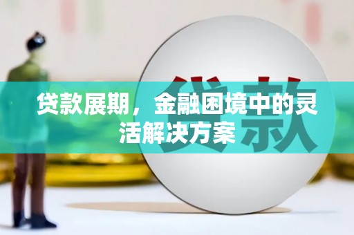 南丰贷款展期，金融困境中的灵活解决方案
