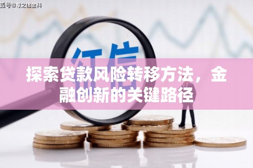 南丰探索贷款风险转移方法，金融创新的关键路径