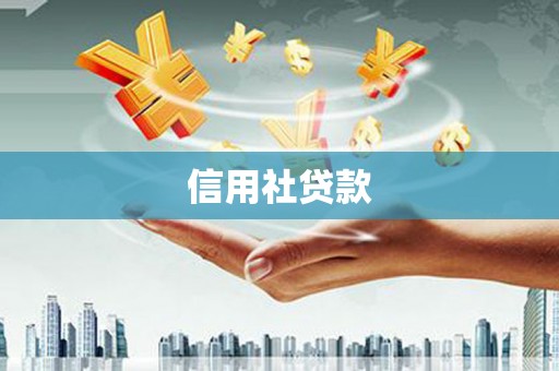 南丰信用社贷款
