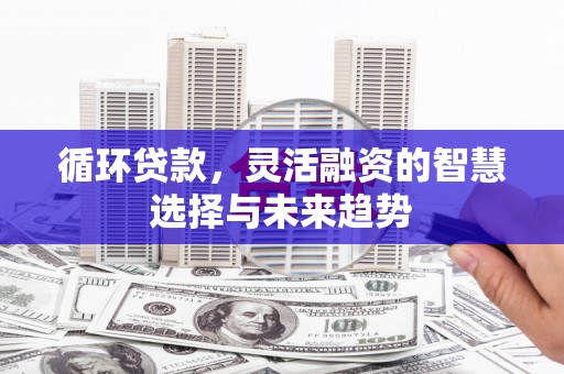 南丰循环贷款，灵活融资的智慧选择与未来趋势