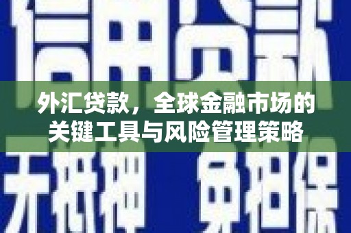 南丰外汇贷款，全球金融市场的关键工具与风险管理策略