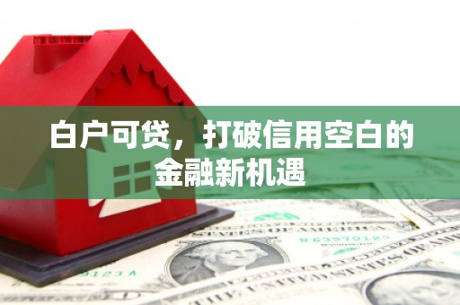 南丰白户可贷，打破信用空白的金融新机遇