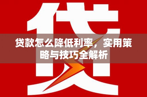 南丰贷款怎么降低利率，实用策略与技巧全解析