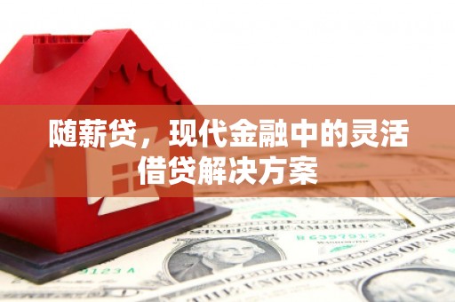 南丰随薪贷，现代金融中的灵活借贷解决方案