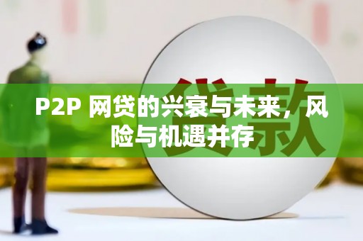 南丰P2P 网贷的兴衰与未来，风险与机遇并存