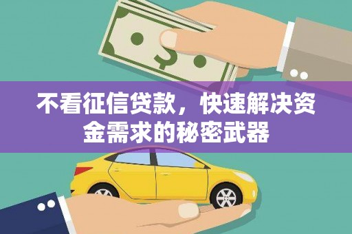 南丰不看征信贷款，快速解决资金需求的秘密武器