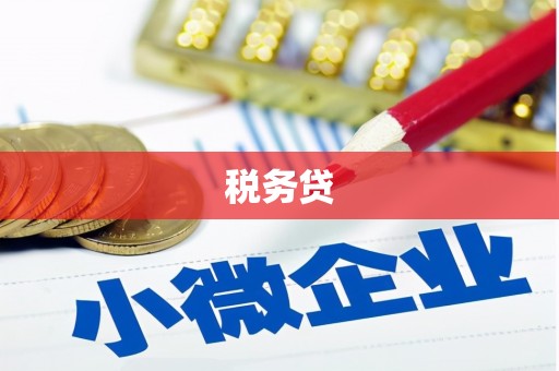 南丰税务贷