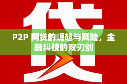 南丰P2P 网贷的崛起与风险，金融科技的双刃剑