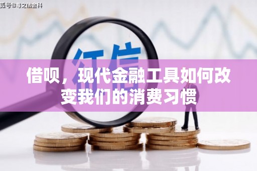 南丰借呗，现代金融工具如何改变我们的消费习惯