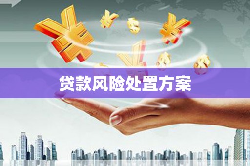 南丰贷款风险处置方案