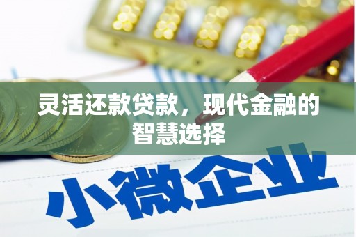 南丰灵活还款贷款，现代金融的智慧选择