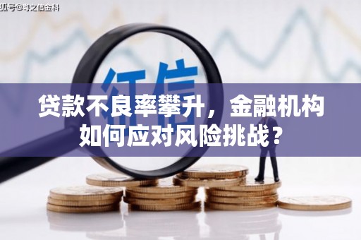 南丰贷款不良率攀升，金融机构如何应对风险挑战？