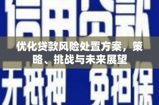 南丰优化贷款风险处置方案，策略、挑战与未来展望