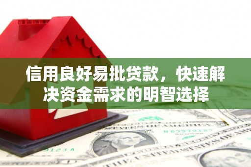 南丰信用良好易批贷款，快速解决资金需求的明智选择