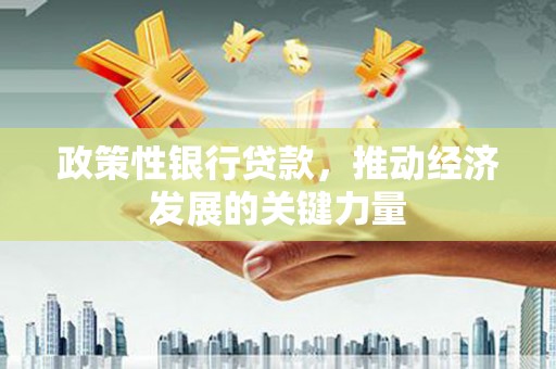 南丰政策性银行贷款，推动经济发展的关键力量