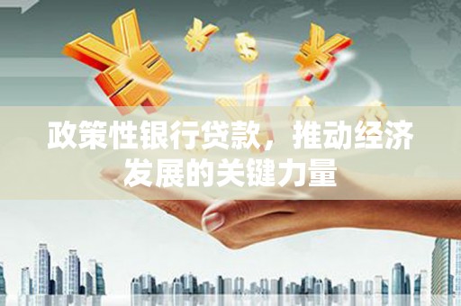 南丰政策性银行贷款，推动经济发展的关键力量