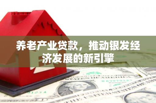 南丰养老产业贷款，推动银发经济发展的新引擎