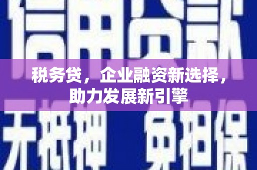 南丰税务贷，企业融资新选择，助力发展新引擎
