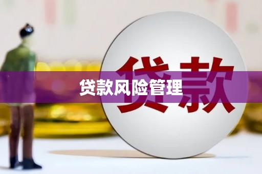 南丰贷款风险管理